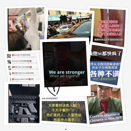 美国爆料病毒视频网站,真相与阴谋的交织